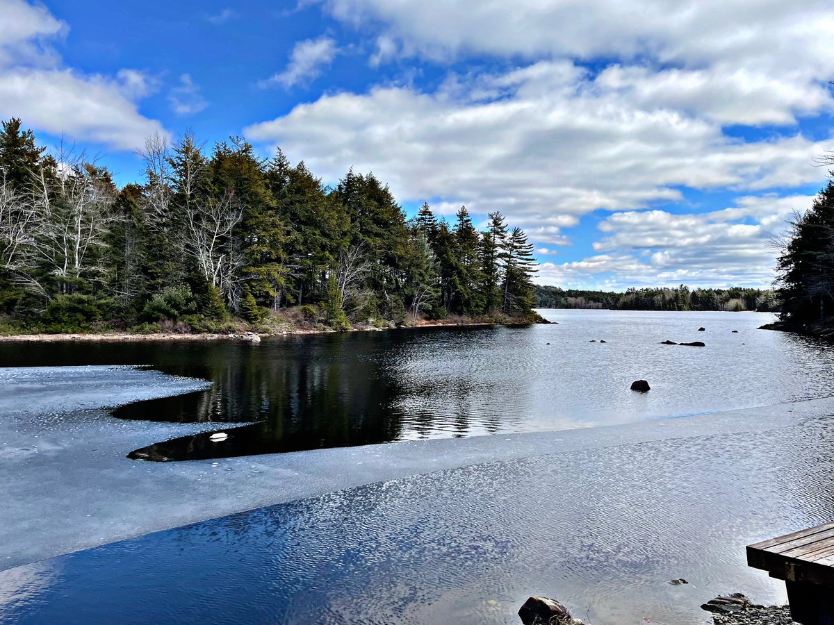 DrDanielSeguin's tweet photo. Benny’s view. #cottagelife #queenscounty #novascotia #canada https://t.co/DvAek8kHdY