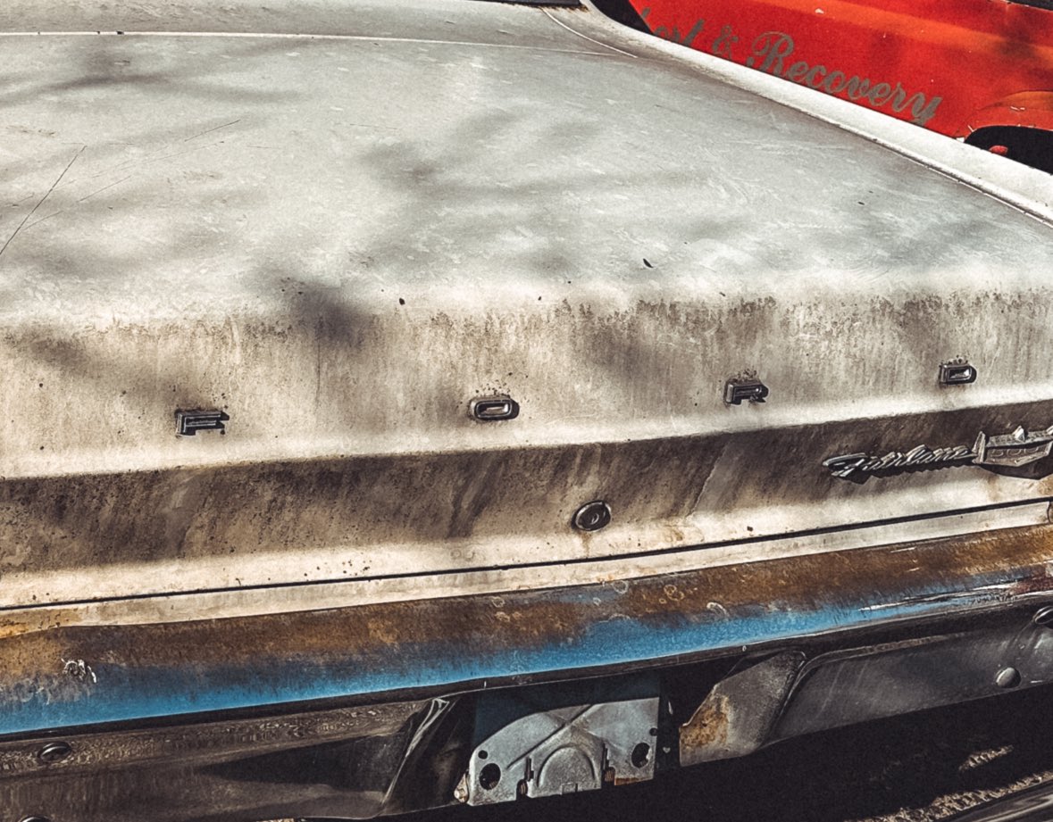 _AlexDCruz's tweet image. 