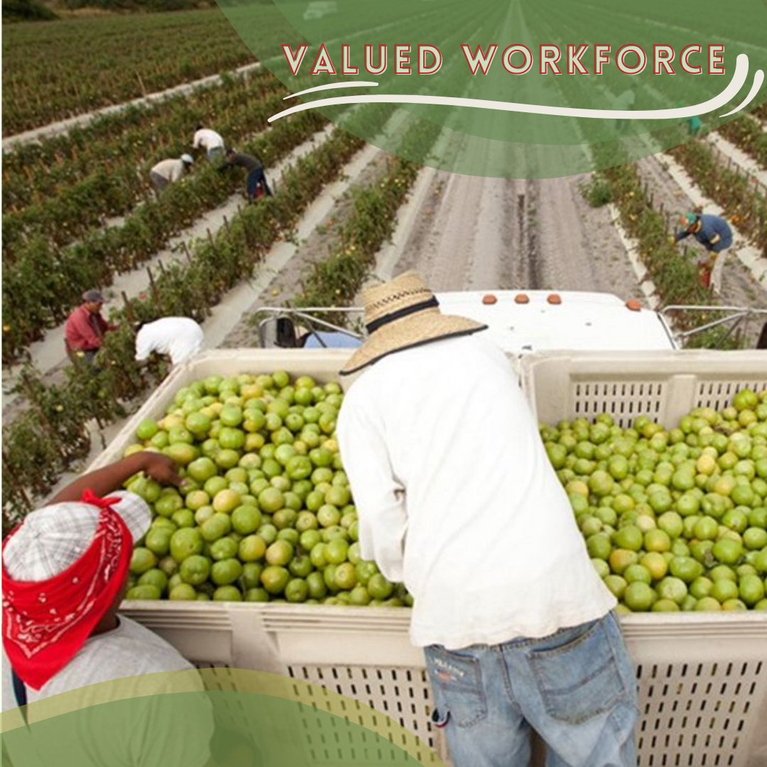 Good Food Purchasing puts priority on making sure food suppliers in our region respect their workers’ rights creating a healthy workplace for all. Making this #GFPP core value a priority means we encourage supply chain partnerships that meet or exceed all basic labor laws.
