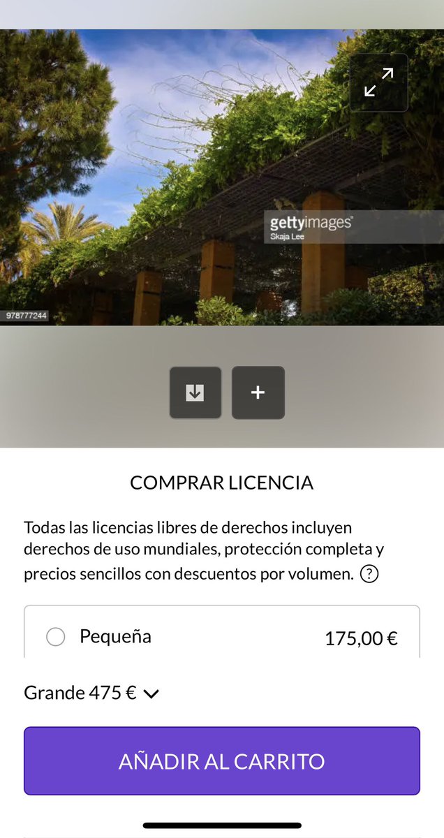 SkajaLee's tweet image. Mi foto en @GettyImages 

#skajalee #skajaleefotografia #gettyimage #fotografo