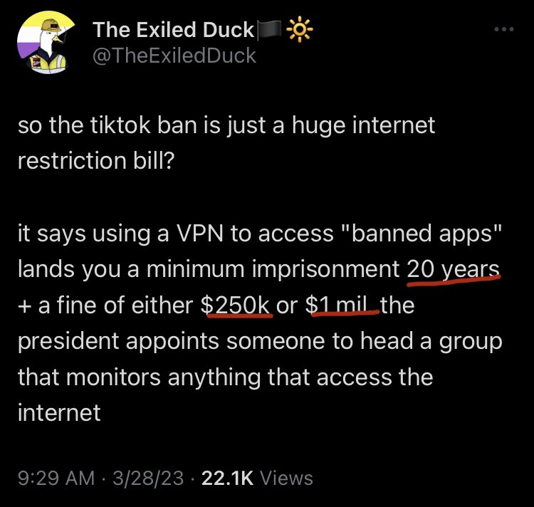 TheMcKenziest's tweet image. 20 years in prison and a $1M fine for using a VPN to watch TikTok videos.