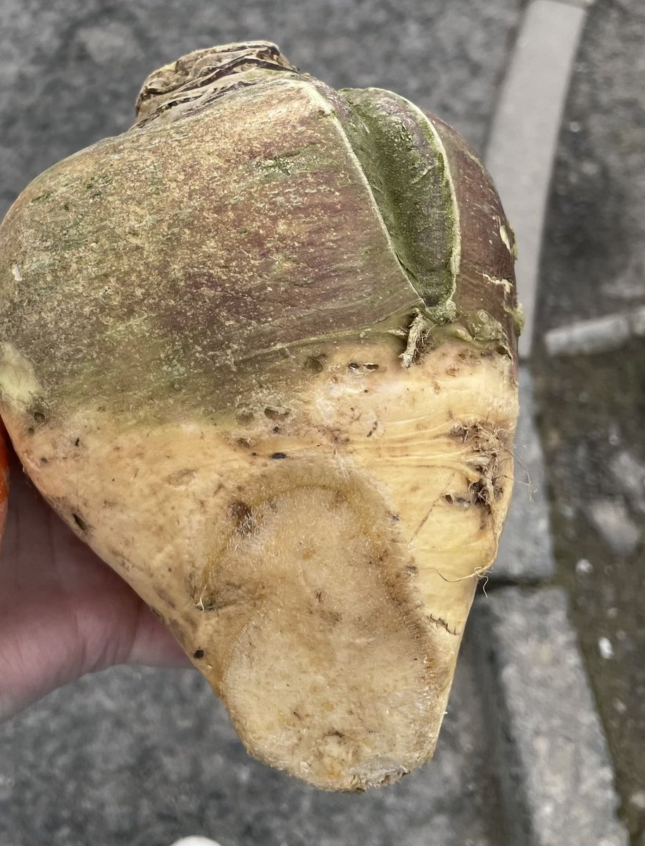 OSufferer's tweet photo. Clapshot for tea tonight (tatties and neeps (turnips cooked and mashed together)
I hope its no claggy!
#clapshot #claggy #orkneydictionary #orcadian #orkney https://t.co/Yiw8KqBVMB