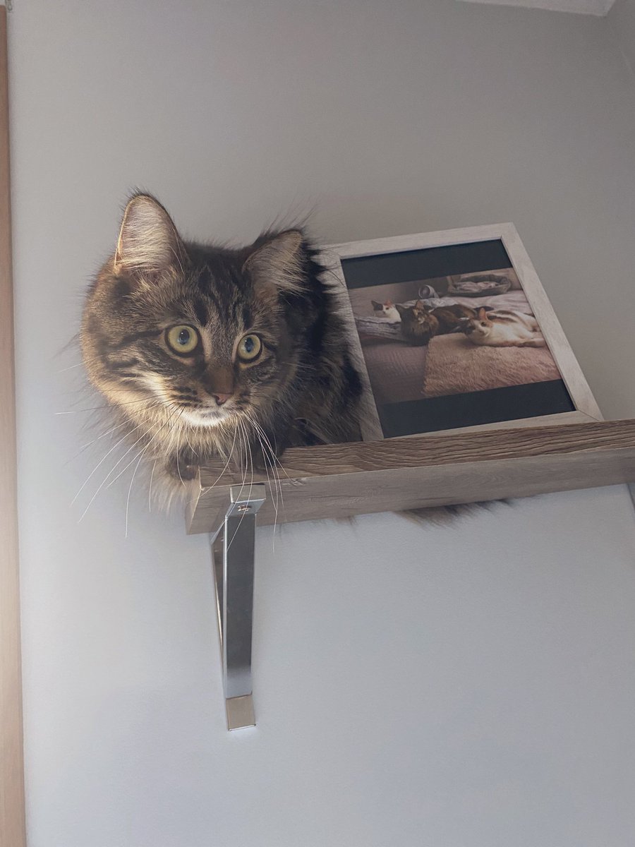 Melissa Smith tweet media