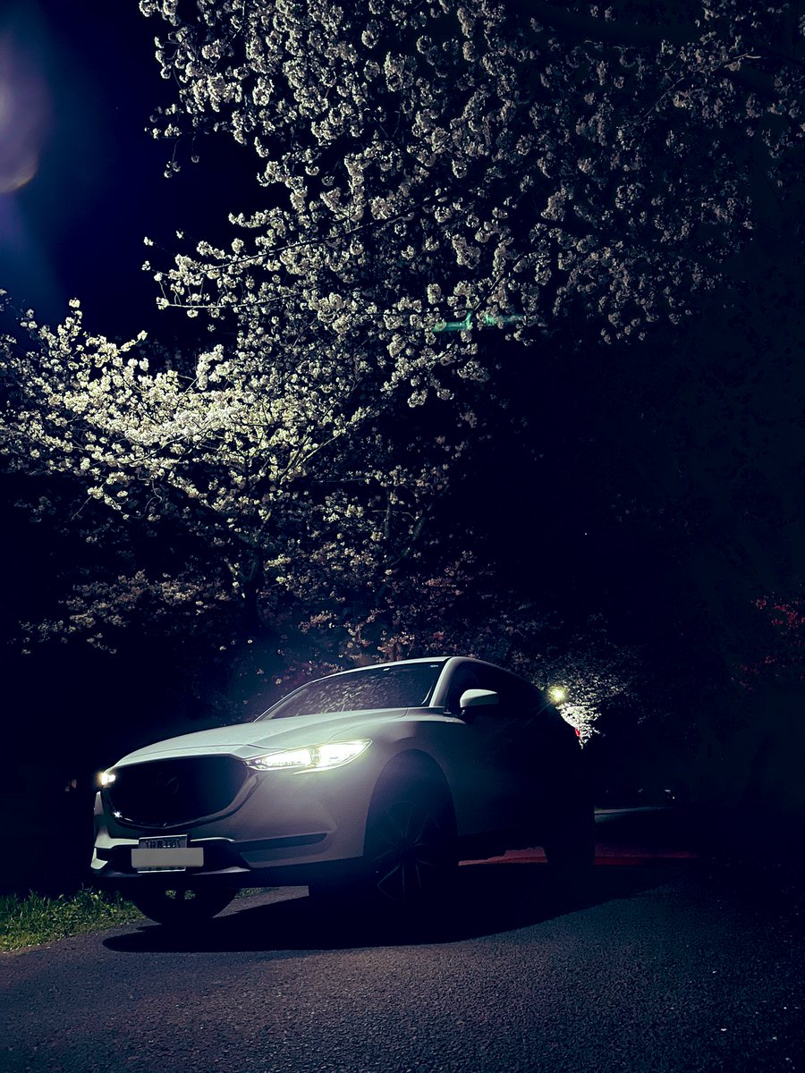 自称ラッパー25歳無職 tweet media