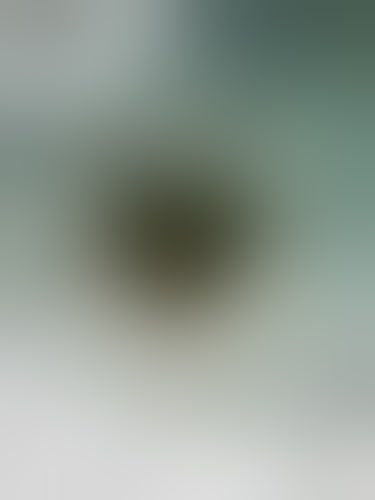 I just posted new content on Scatbook. You can see it at https://t.co/lLxqa2PkNy https://t.co/sORsMH