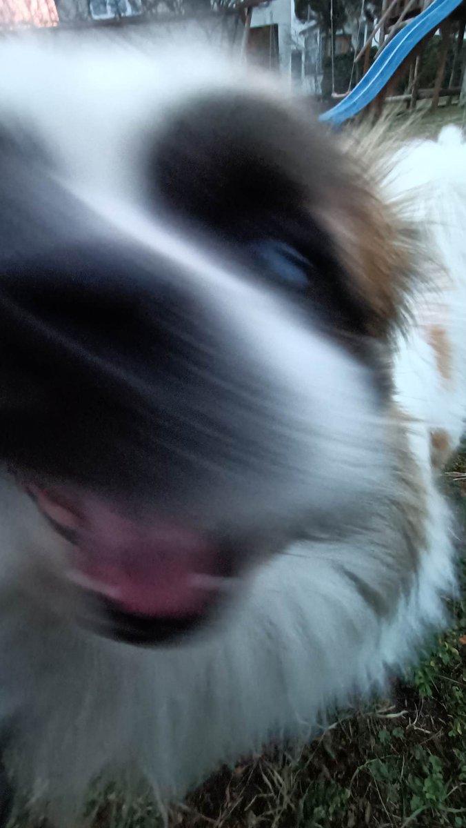 vsxoqq's tweet image. hej znow szukam moots do interakcji albo w ogole jakich kolwiek znajomych😁😁😁  #TheLastOfUs #FCBarcelona #preludium #fukaj #interakcja