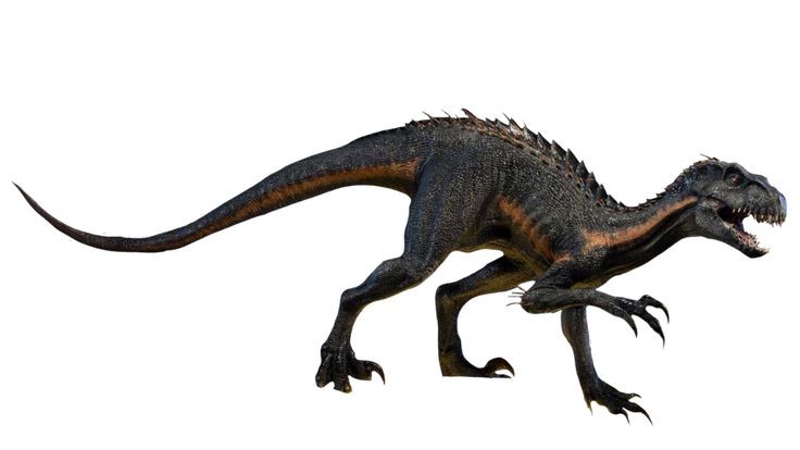 aFallenWolf's tweet image. Not going to lie, while still weak movie monster designs, they've grown on me a lot over the years. 

I love how big booty-ed they are. And I'm honestly a big fan that indoraptor is mostly a quadruped.

 #JurassicWorld #IndominusRex #Indoraptor #Dinosaurs