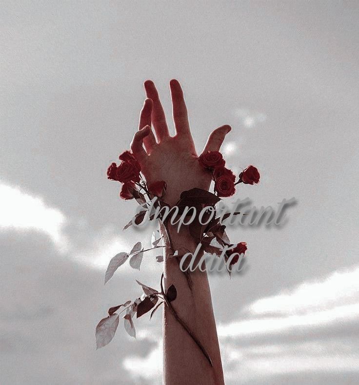 ㅤㅤㅤㅤㅤㅤㅤㅤㅤㅤㅤㅤㅤㅤㅤㅤㅤㅤㅤㅤㅤㅤㅤ    ❛ ፧̲﹙𓇚 𝕴𝘮𝘱𝘰𝘳𝘵𝘢𝘯𝘵 
  ㅤㅤㅤㅤㅤㅤㅤㅤ𝘥𝘢𝘵𝘢 ; 
        ‹  curiosities - tastes - data ›