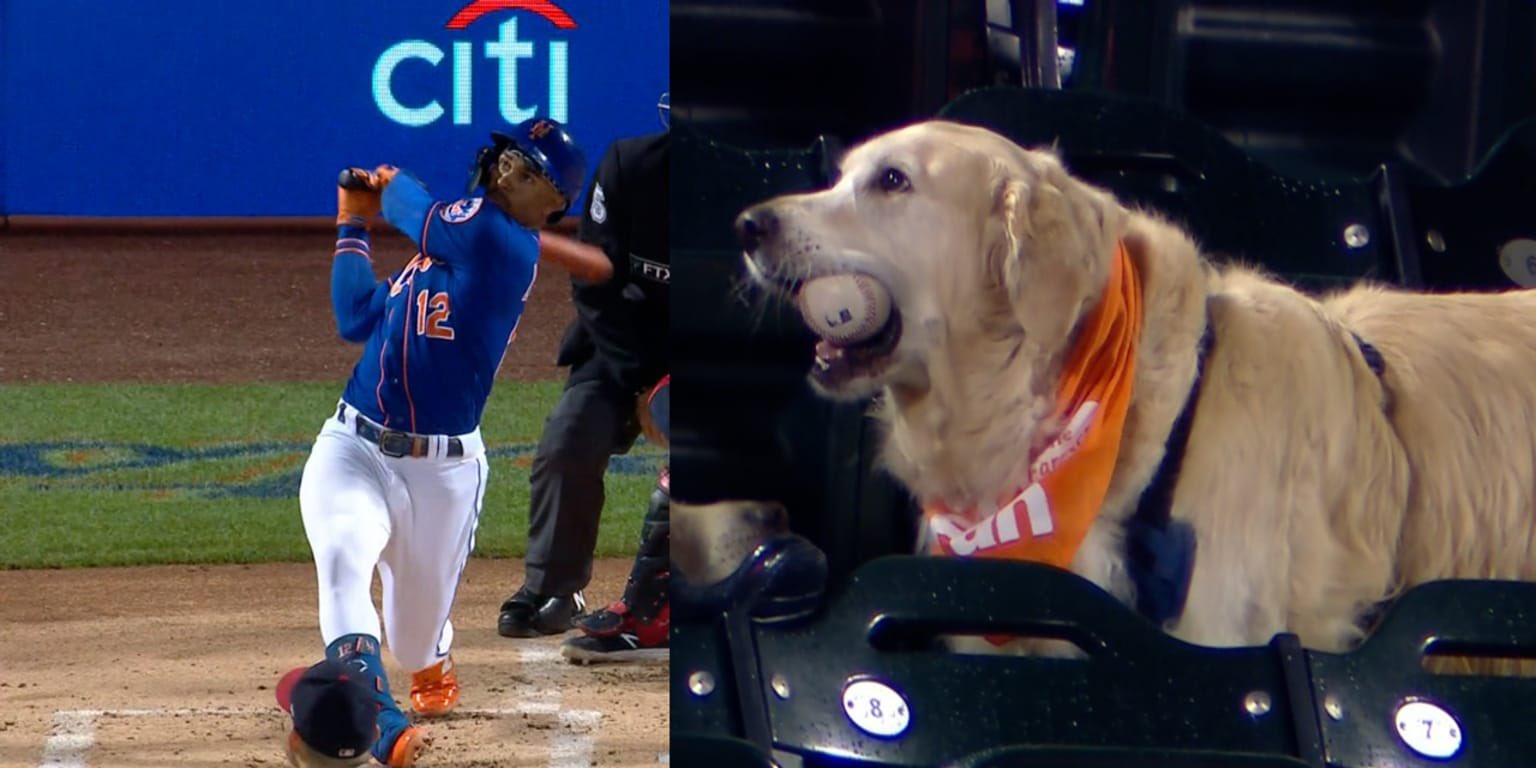 New York Mets on Twitter "Bark at the Park is BACK for three games in