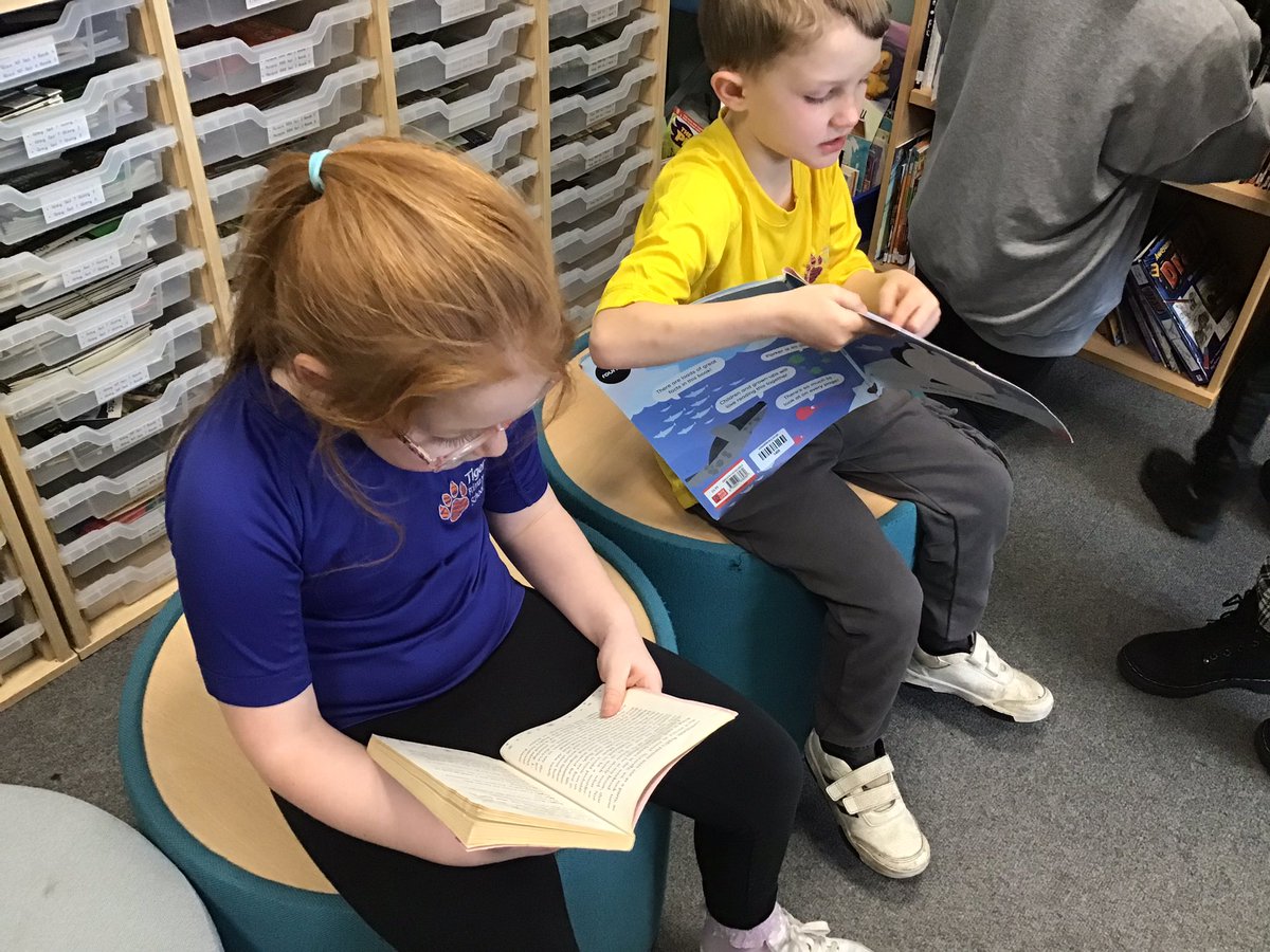 Tiger Primary School Library tweet media