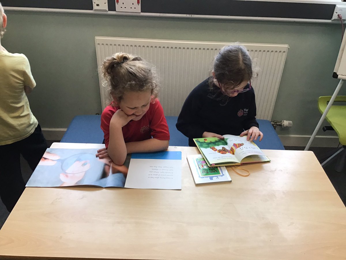 Tiger Primary School Library tweet media