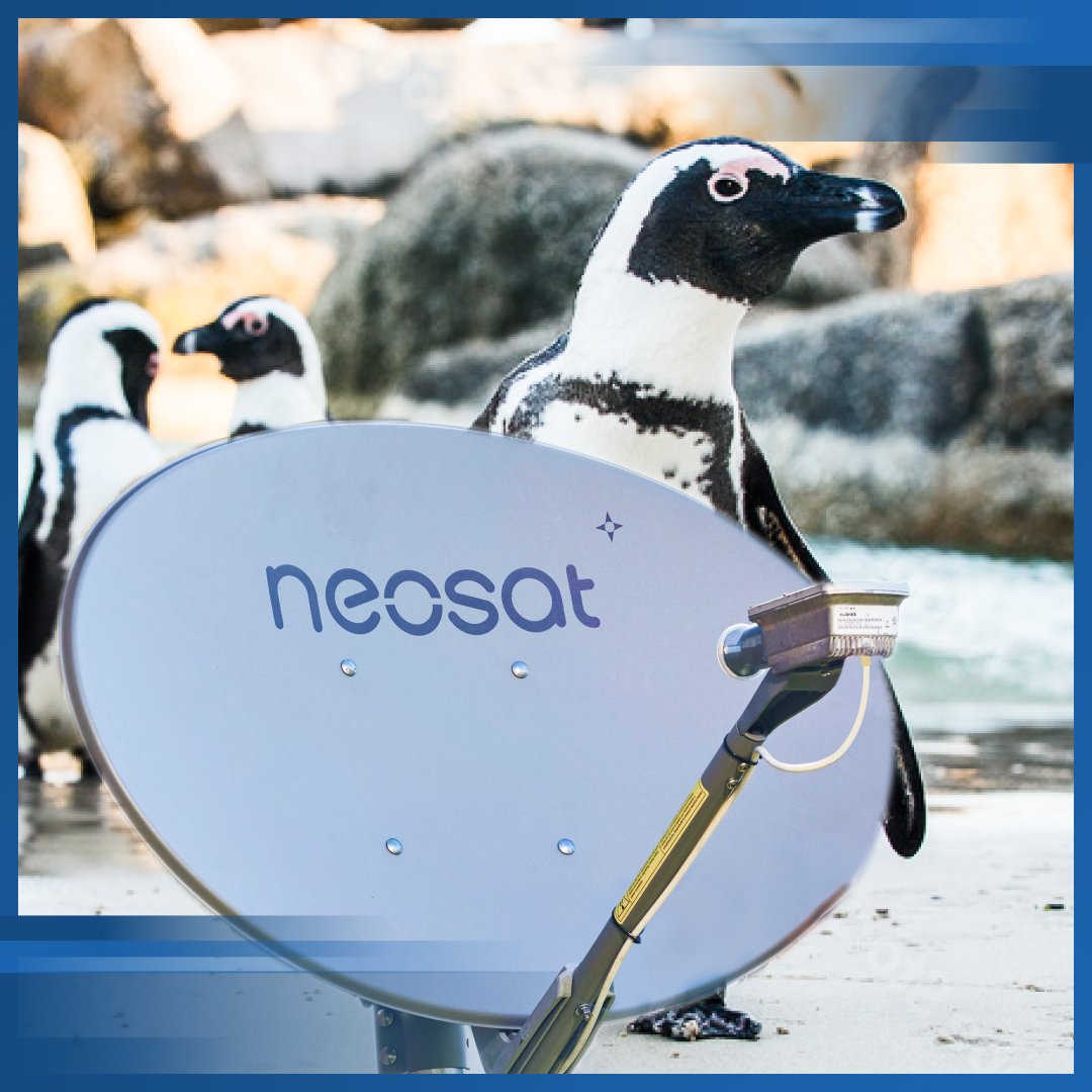 NordnetOFFICIEL's tweet photo. Avec la technologie Internet par #satellite, on capte partout. Même là 🐧
https://t.co/kZcfrsAXFG
#pengunday #thd #neosat https://t.co/TETxZvo0Uk