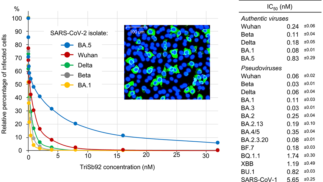Nature Portfolio (@natureportfolio) on Twitter photo A paper in <a href="/NatureComms/">Nature Communications</a> describes a small antibody-like protein that can prevent infection by diverse SARS-CoV-2 variants in cell culture and in mice that were intranasally treated with this inhibitor before or shortly after being exposed to the virus. go.nature.com/40ovTFm A paper in <a href="/NatureComms/">Nature Communications</a> describes a small antibody-like protein that can prevent infection by diverse SARS-CoV-2 variants in cell culture and in mice that were intranasally treated with this inhibitor before or shortly after being exposed to the virus. go.nature.com/40ovTFm