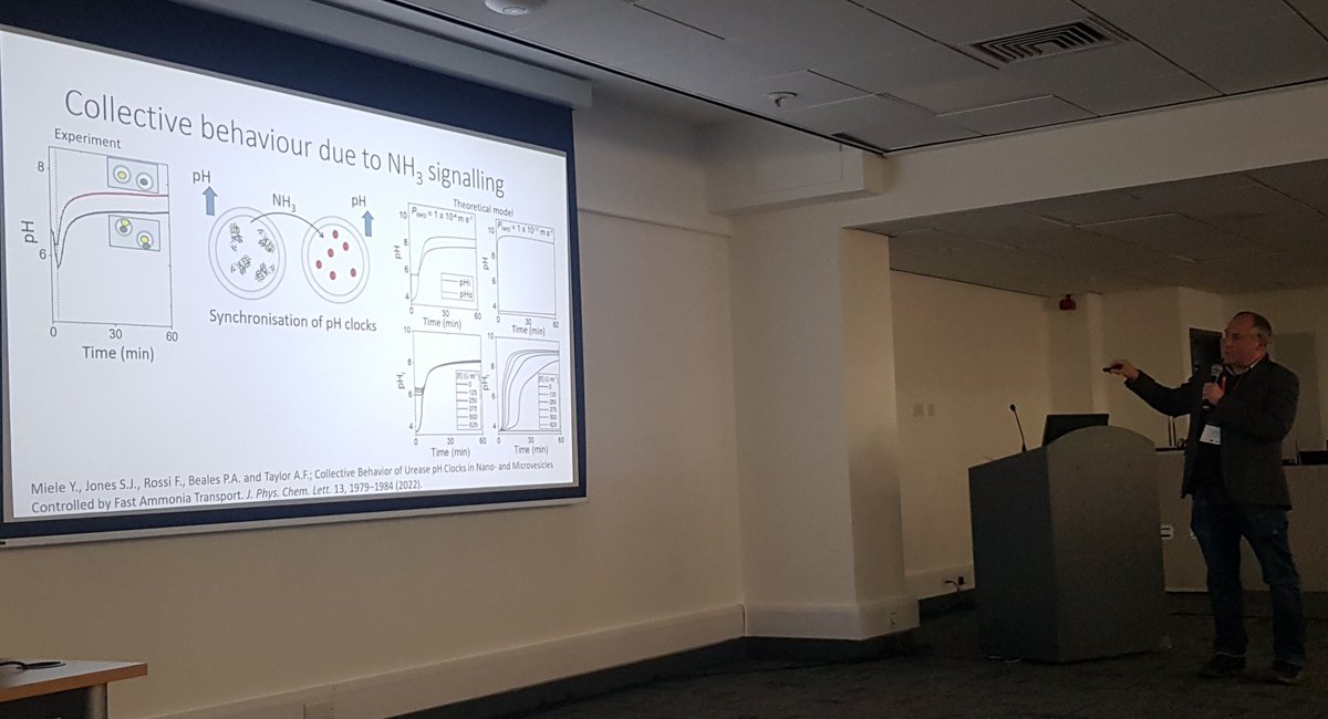 rli22's tweet photo. Currently in the parallel session on #engineering #biomolecules #cells & #organoids & really enjoying hearing @BealesLab talking about a cool self-regulating synchronised #bioclock system encapsulated in #vesicles adding to the #buildingblocks for #syntheticcell #systems #POL2023 https://t.co/KsvmFx92wY