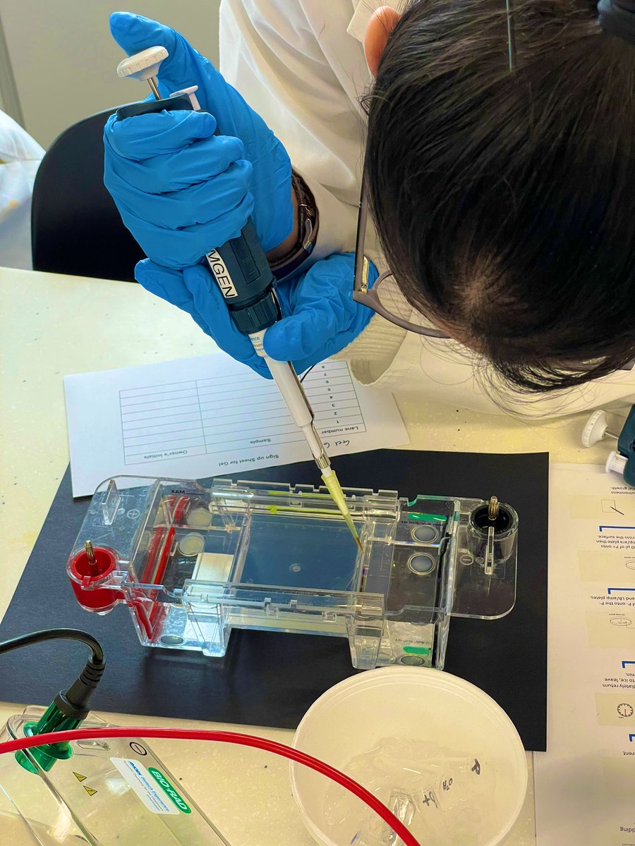 NWC STEM tweet media