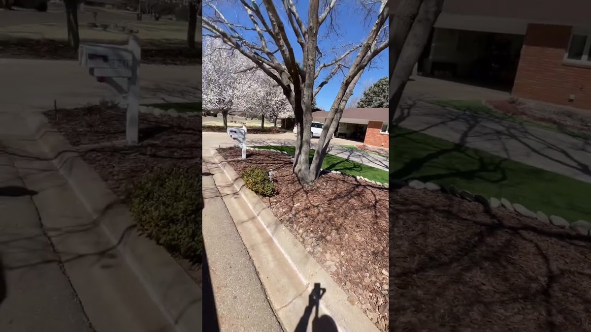 AllForGardening's tweet image. #turf #rockscape #demo #hardscape ...
 
#Backyard #BackyardGarden #BackyardLandscape #BackyardLandscapes
 
allforgardening.com/426074/turf-ro…