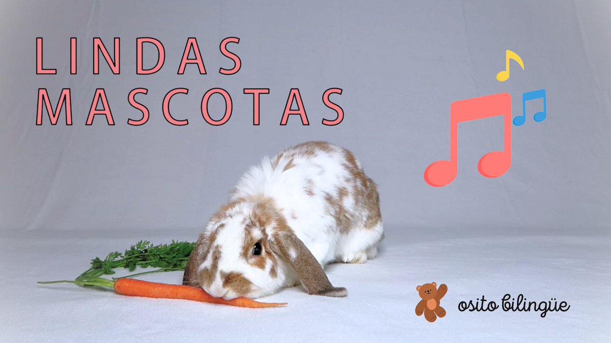 I wrote a children's song about pets in Spanish for my capstone project, I hope you'll check it out! 😊🎶

youtu.be/yPrTxqJkIYM