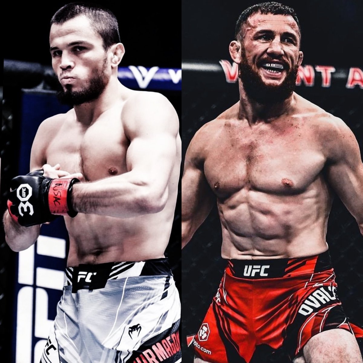 Merab Dvalishvili vs Umar Nurmagomedov in the works for July.