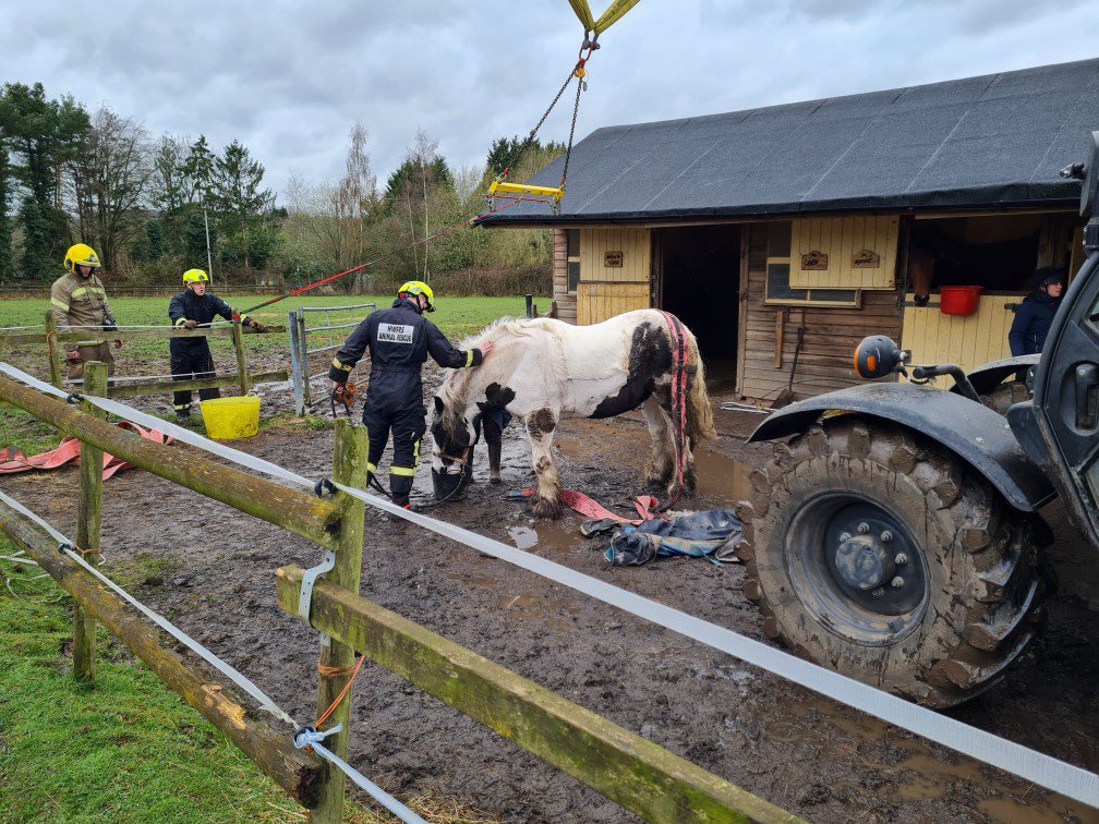 James Holder (@hwfirejholder) on Twitter photo Excellent work by @HWFirePershore assisted by <a href="/HWFireRedditch/">HWFireRedditch</a> today in helping ‘George’ back to his feet. Pershore’s specialist large animal rescue team had one chance to save George and they nailed it. Top job. Thanks to Alan and his Loadall too 👍👍 Excellent work by @HWFirePershore assisted by <a href="/HWFireRedditch/">HWFireRedditch</a> today in helping ‘George’ back to his feet. Pershore’s specialist large animal rescue team had one chance to save George and they nailed it. Top job. Thanks to Alan and his Loadall too 👍👍