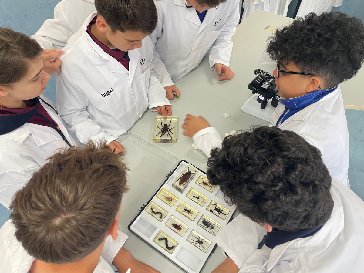 ColegiosISP's tweet photo. 1º ESO ha realizado una práctica de laboratorio consistente en observación, estudio y clasificación por grupos de los animales invertebrados. Haciendo uso del microscopio y la lupa han visto diferentes tipos de aparatos bucales de los insectos, distintos tipos de alas y patas. https://t.co/wn4Pi4WJvr