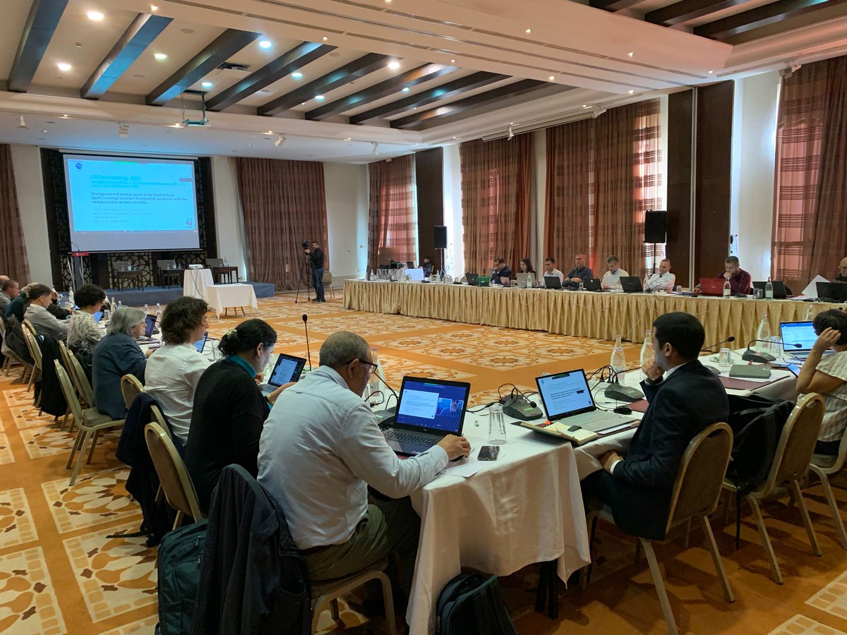 UN_FAO_GFCM's tweet photo. 🟢#GFCM Experts in #Tunis 🇹🇳 for the Subregional Committee for the Central Mediterranean with more than 100 participants❗️

📌To address, among other things, specific issues emanating from the adopted recommendations.

#GFCM_SAC https://t.co/vy9aZncwJi