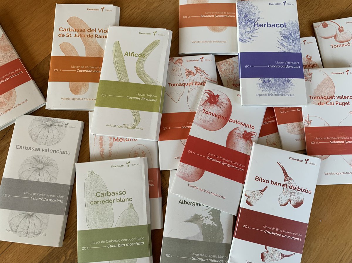 Imma Puigcorbé tweet media