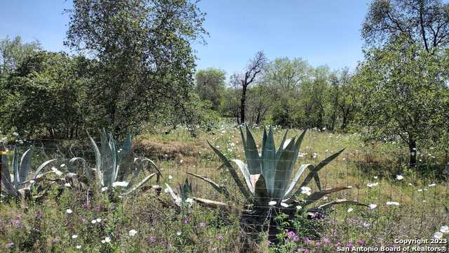 REMAXnorthSA's tweet image. Just listed by Ruth Borrego in #Poteet #TX. 1296 Gayle Ln! Please retweet!  tour.corelistingmachine.com/home/M7N8QR