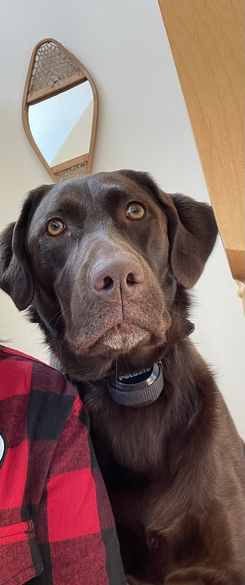 Lori Robinson tweet media