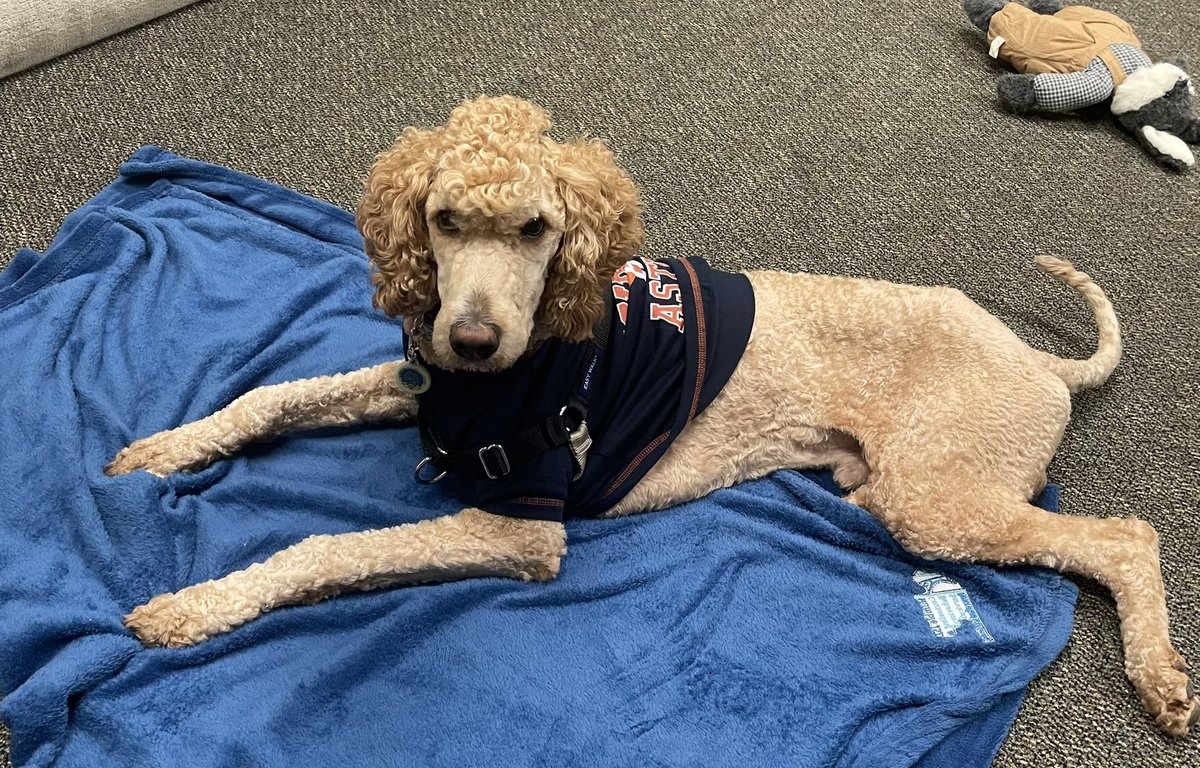 Cooper had a busy morning going into all our 3rd grade classrooms! Time for a rest!! <a href="/CooperFresh1/">Cooper "The Canine Counselor" Freshwater</a> <a href="/HumbleISD_OE/">Oaks Elementary</a>