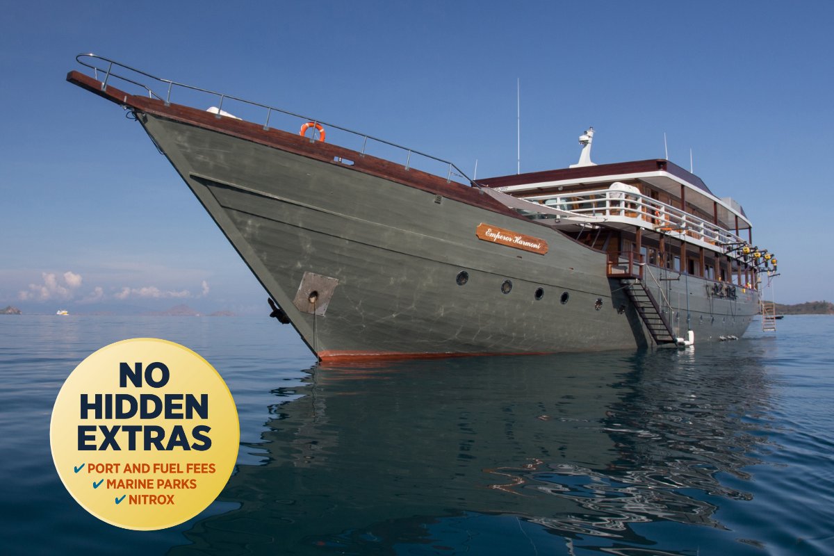 EmperorDivers tweet media