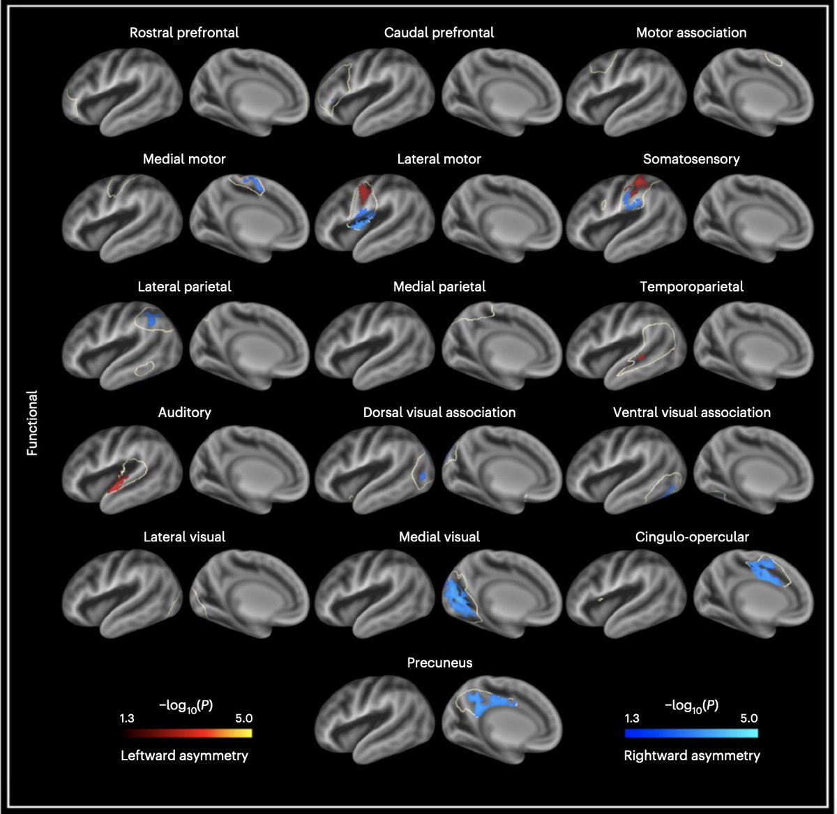 Logan Williams tweet media