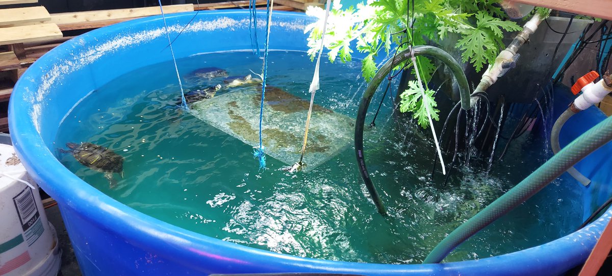 STEAM Expeditions tweet media