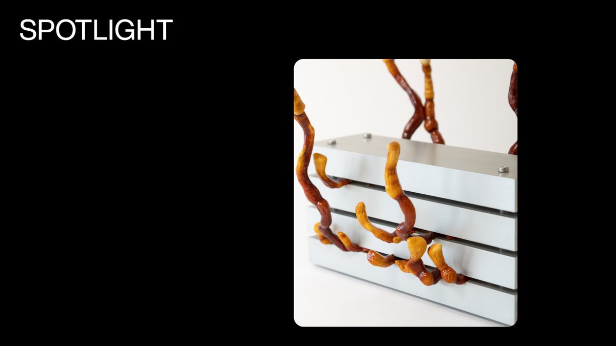 ‘We created the MCU to challenge the materials and techniques commonly used to construct our environments, and to introduce sustainability on the foundational level of planning and creation.’ — <a href="/10TH_FLR/">10th Floor Studio</a>