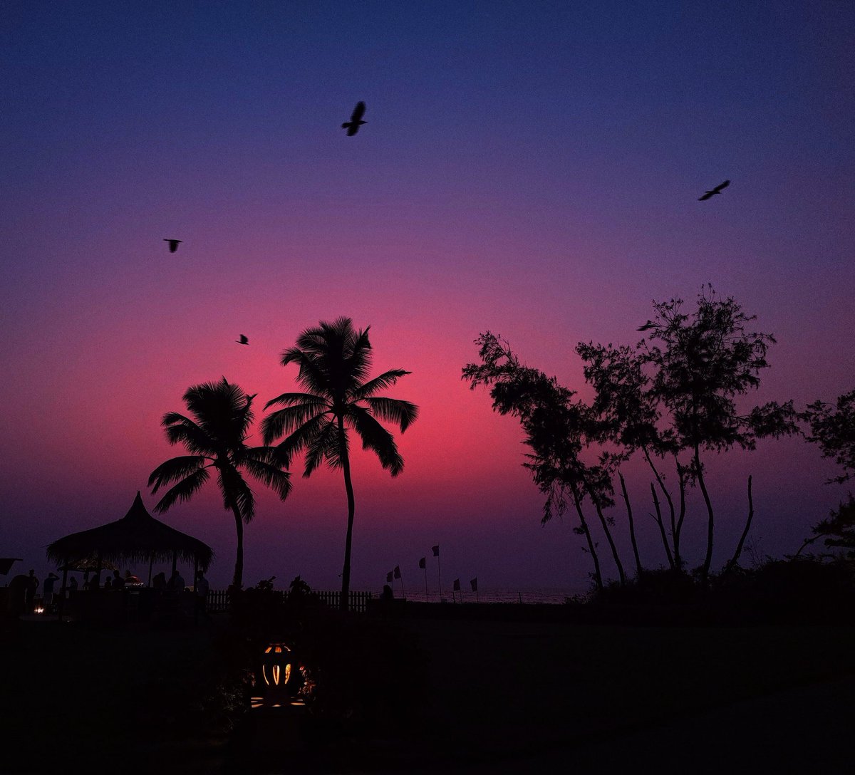 souryadash's tweet image. Captured on #oneplus9pro