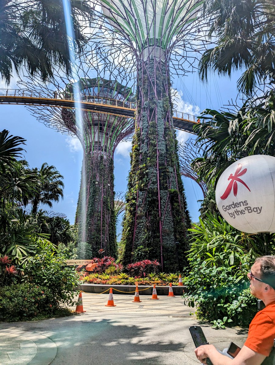 The #Series5 is truly designed to take you anywhere you want to go, including along tree tops of Supertrees in Singapore! #wheelchair