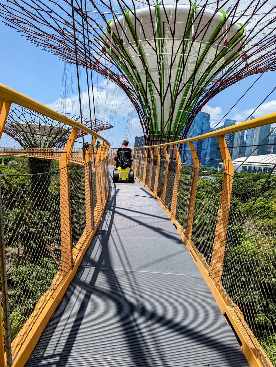 Freedom One Life tweet media