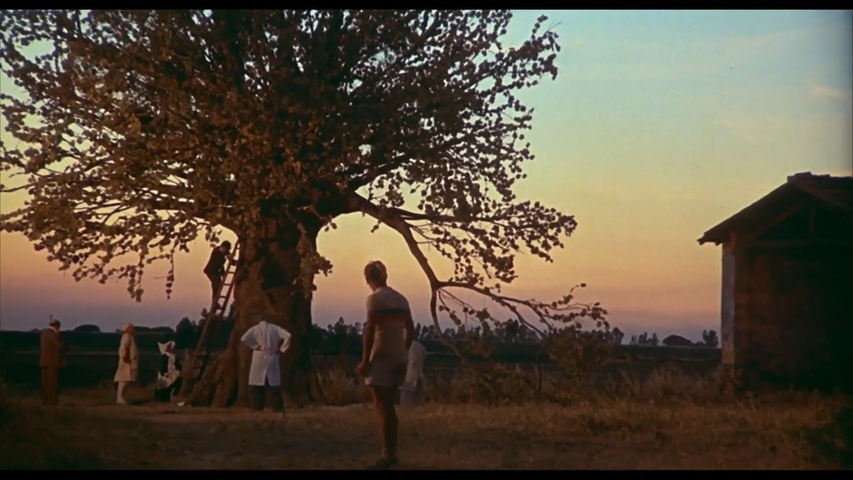 aanchojo's tweet photo. Federico Fellini's AMARCORD (1973)
#FilmTwitter #filmtwt #federicofellini #amarcord https://t.co/1F2hcD52Lo