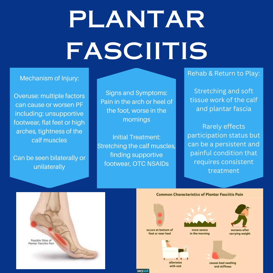 SportsMedCN's tweet photo. A look into common ankle injuries in athletics: #athletictraining #NATM2023 #TheresAnATForThat #TNATA #WeAreD9 #IAmD9 https://t.co/fF7INz3tlQ