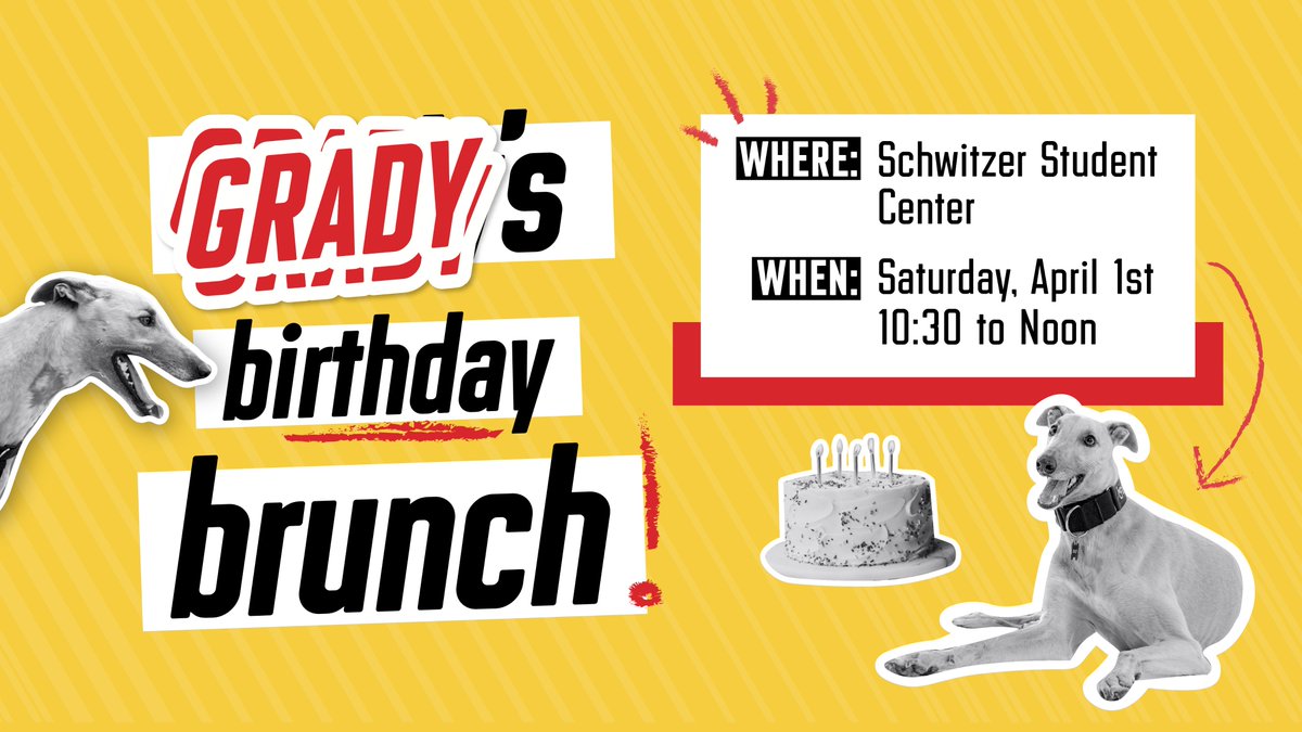 uindyhound's tweet photo. Did you hear the news? I'm turning 6 this weekend! And no, it's not an #AprilFoolsDay joke. Come see me this Saturday, beginning at 10:30 a.m. in Schwitzer Park! I'm even giving presents to the first guests to arrive. 
#gradypack #uindy #itsmybirthday https://t.co/huN6Os989f
