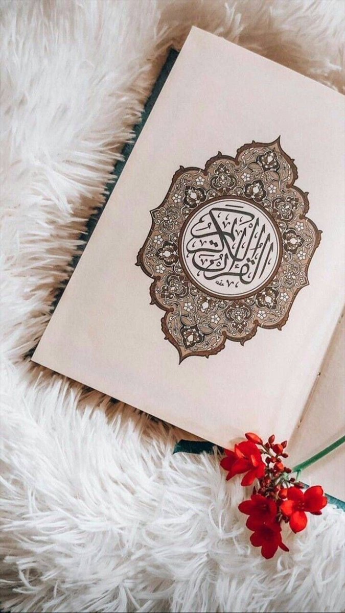 _WaIsMuHaMmAd's tweet photo. قرآن پاڪ بار بار ڪہتا ہے
لَا تَقْنَطُوْا۝
نا امید نہ ہو
لَا تَهِنُوْا۝
ڪمـزور نہ پڑو
لَا تَحۡزَنُوۡا۝
غمگین نہ ہو
لَا تَيْاَسُوْا۝
مایوس نہ ہو
"امید کو ڪبھى نہ چھوڑنا_" https://t.co/mq2mvgfd9d