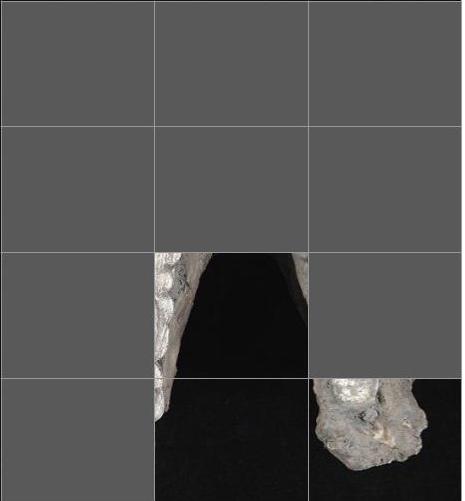 primatweeps's tweet photo. Welcome to #PrimatePlaytime! Today we’re going back in the past for #GuessThePrimate. Can you guess who this fossil #primate is? #Primatweeps #SciComm PC: WikiCommons https://t.co/x6JGbY8zDF