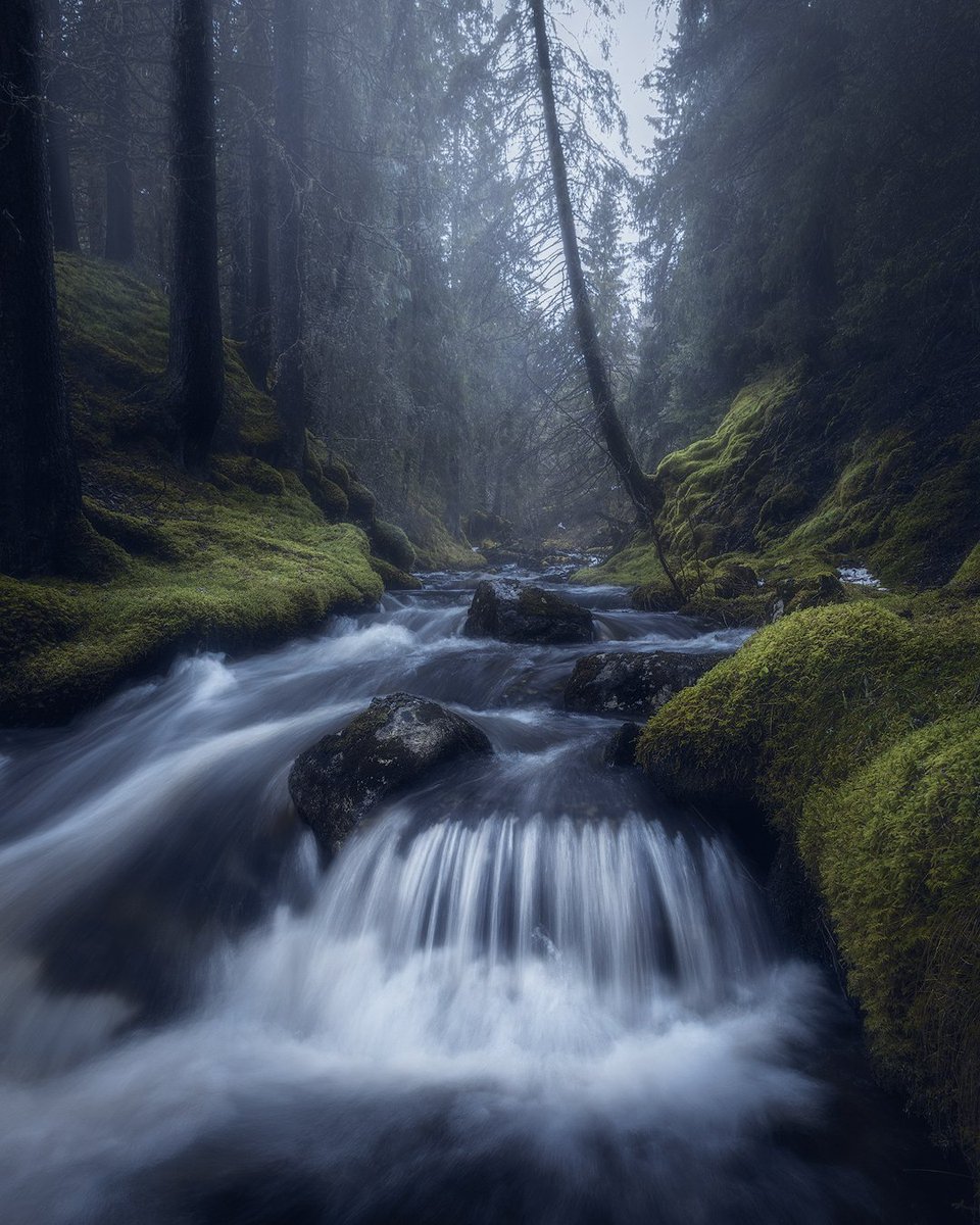 Who's ready for Spring?? 🖐️