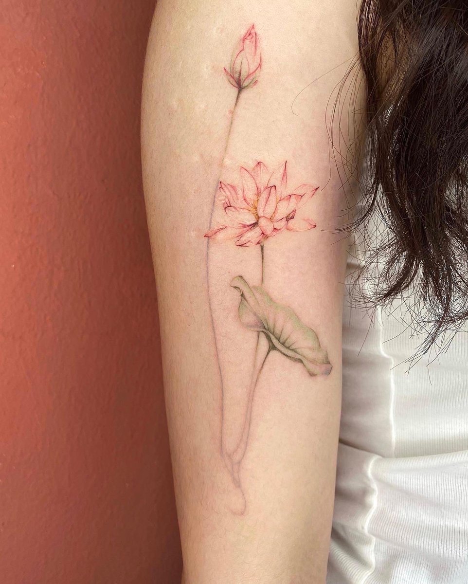 _nanyeon's tweet photo. Lotus
Order made
#linetattoo #tattoo #lotustattoo #seoultattoo #flowertattoo #finetattoo #colortattoo #armtattoo #planttattoo #delicatetattoo #bkktattoo #tokyotattoo #latattoo #nyctattoo #타투 #꽃타투 #연꽃타투 https://t.co/Sz77bKpTFi