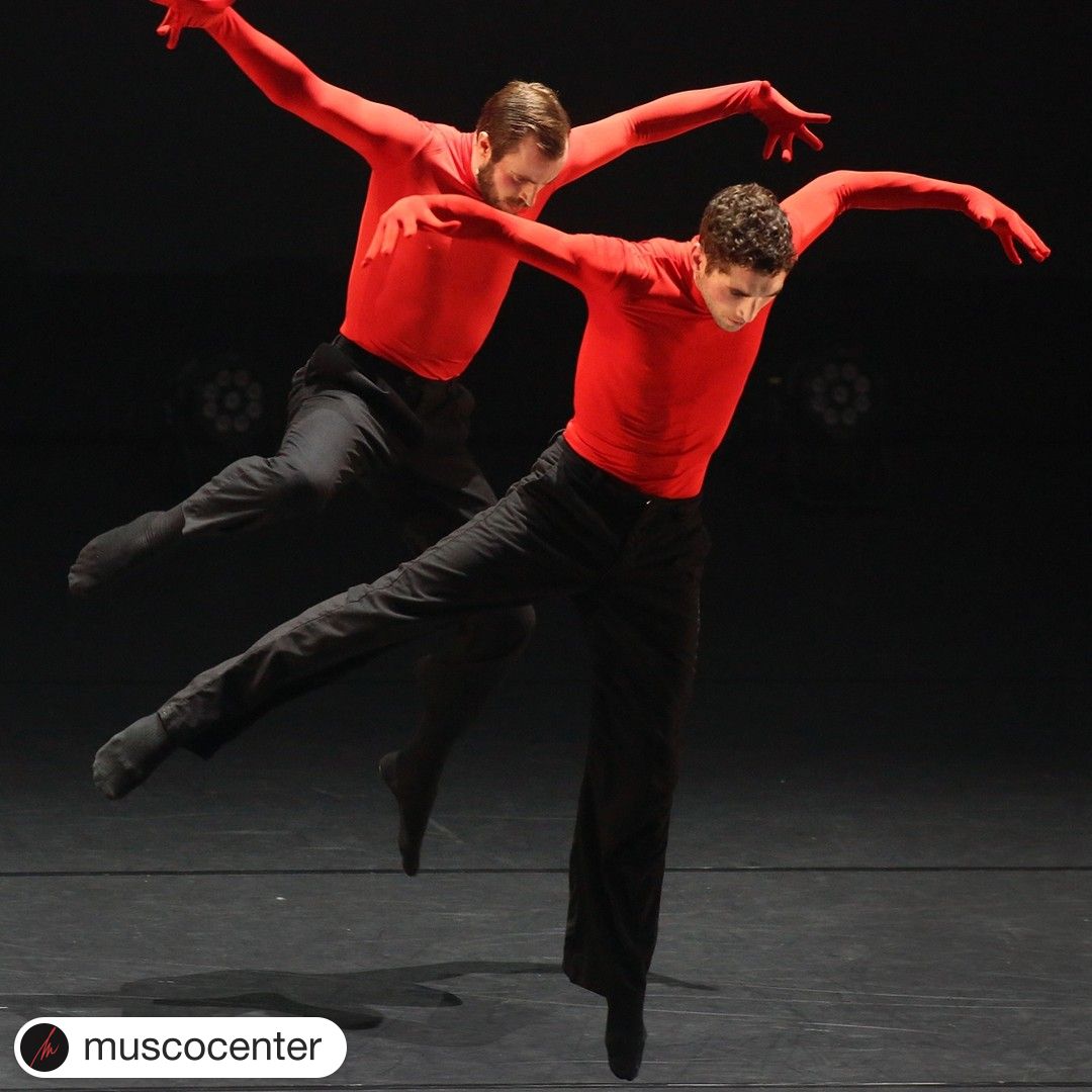 American Dance Movement tweet media