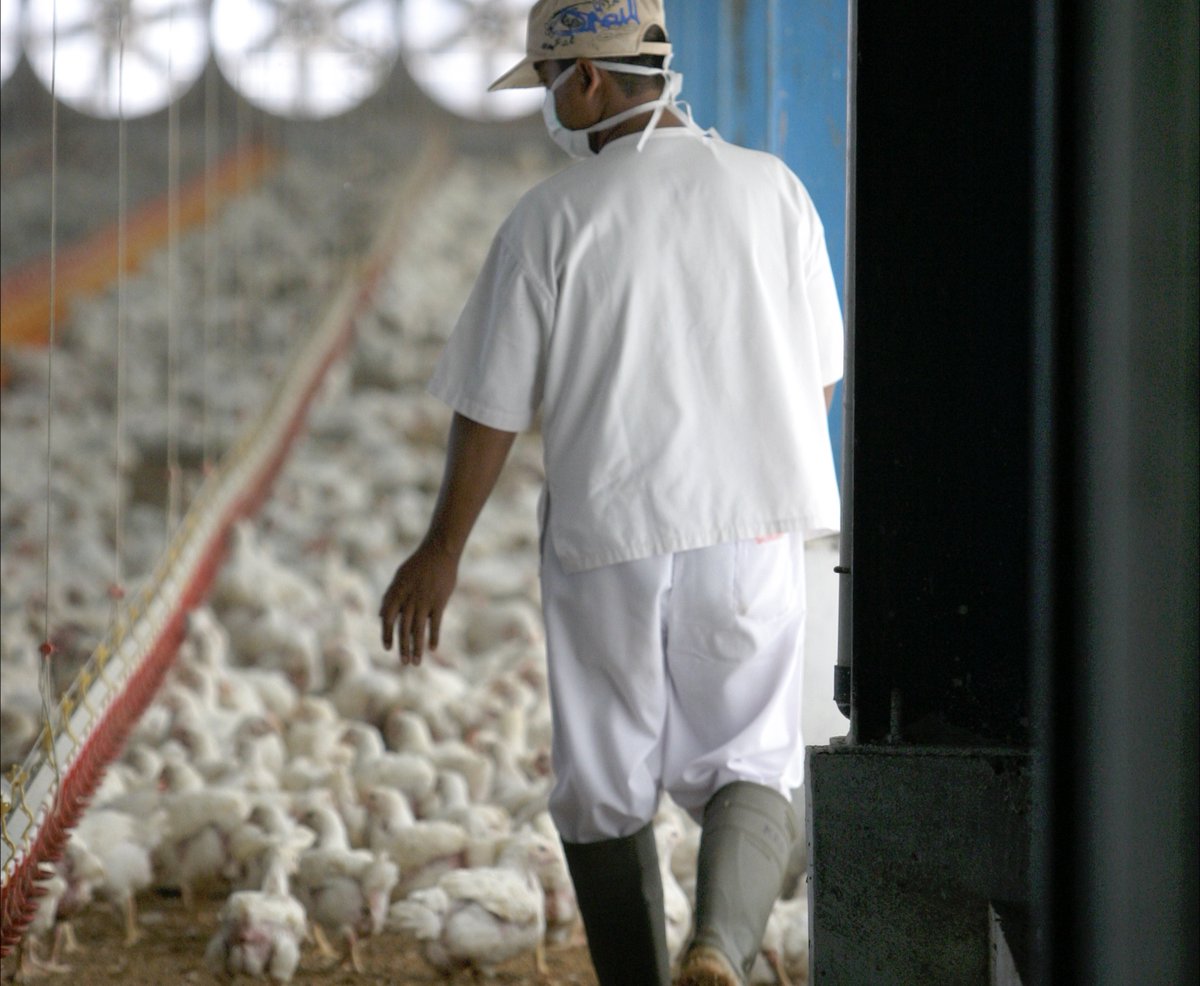 The #OneHealth concept is not new, but it has become more important in recent years. And it's here to stay as we've seen a rise in #zoonotic diseases.

🤔 What should you know about One Health in the WHO European Region?

Here are 5️⃣ things 👇 
who.int/europe/news/it…