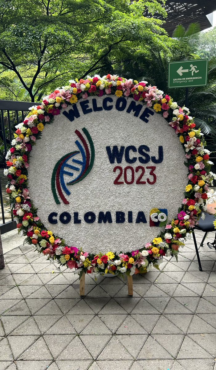 Lesley Evans Ogden tweet media