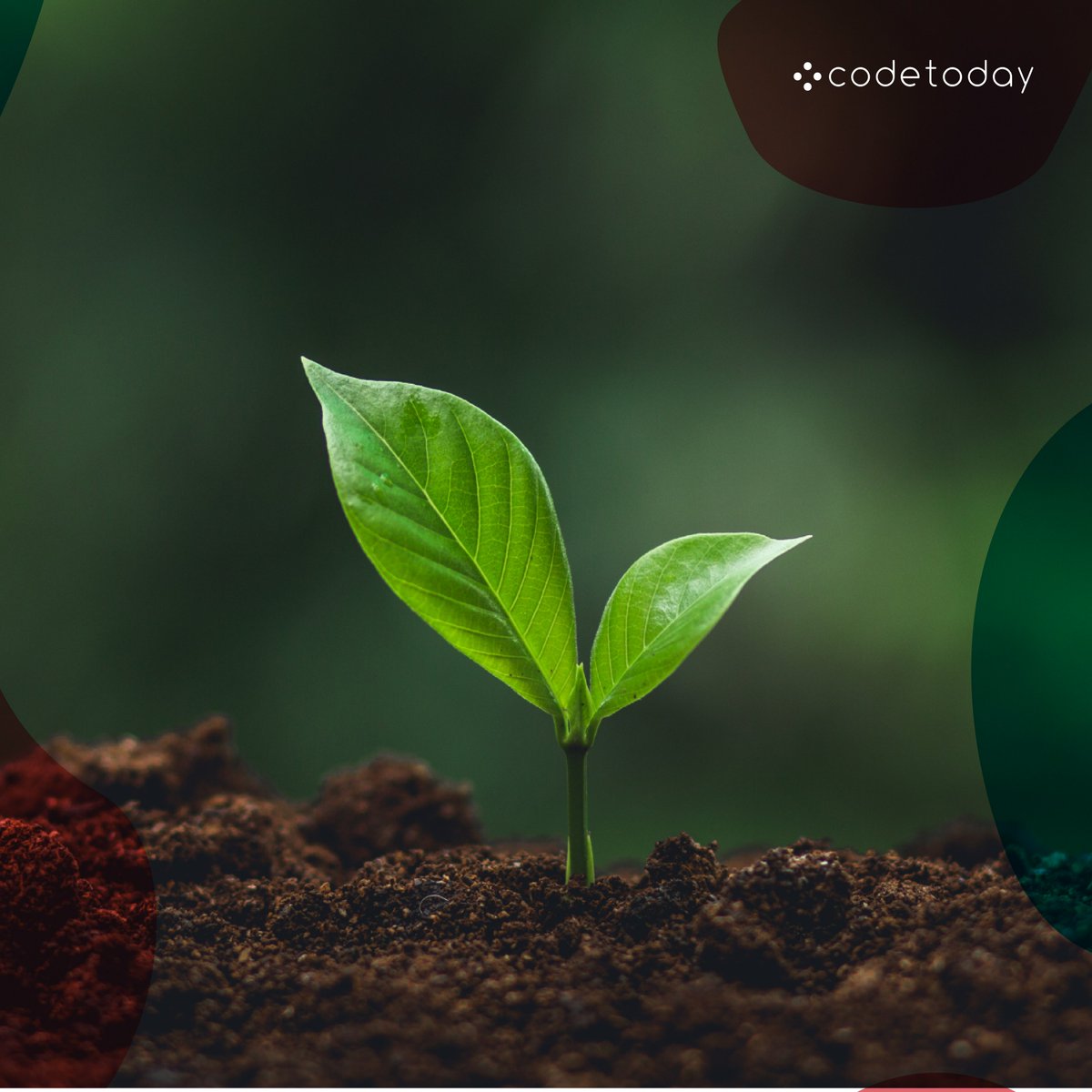 codetoday_'s tweet image. A growth mindset - Having this mindset helps us understand the importance of persistence &amp;amp; determination. When we solve errors in our code we practise this amazing skill. It helps in other areas of our lives too. 
What mindset helps you day to day?
#coding #python #kidscoding