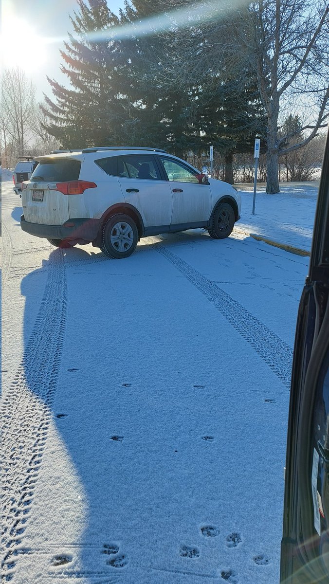 It's the everyday occurrence for me. BWG 5568 
#nicholassheranschool #parkingindisabledspots
#lethbridgepolice
#parkingwars