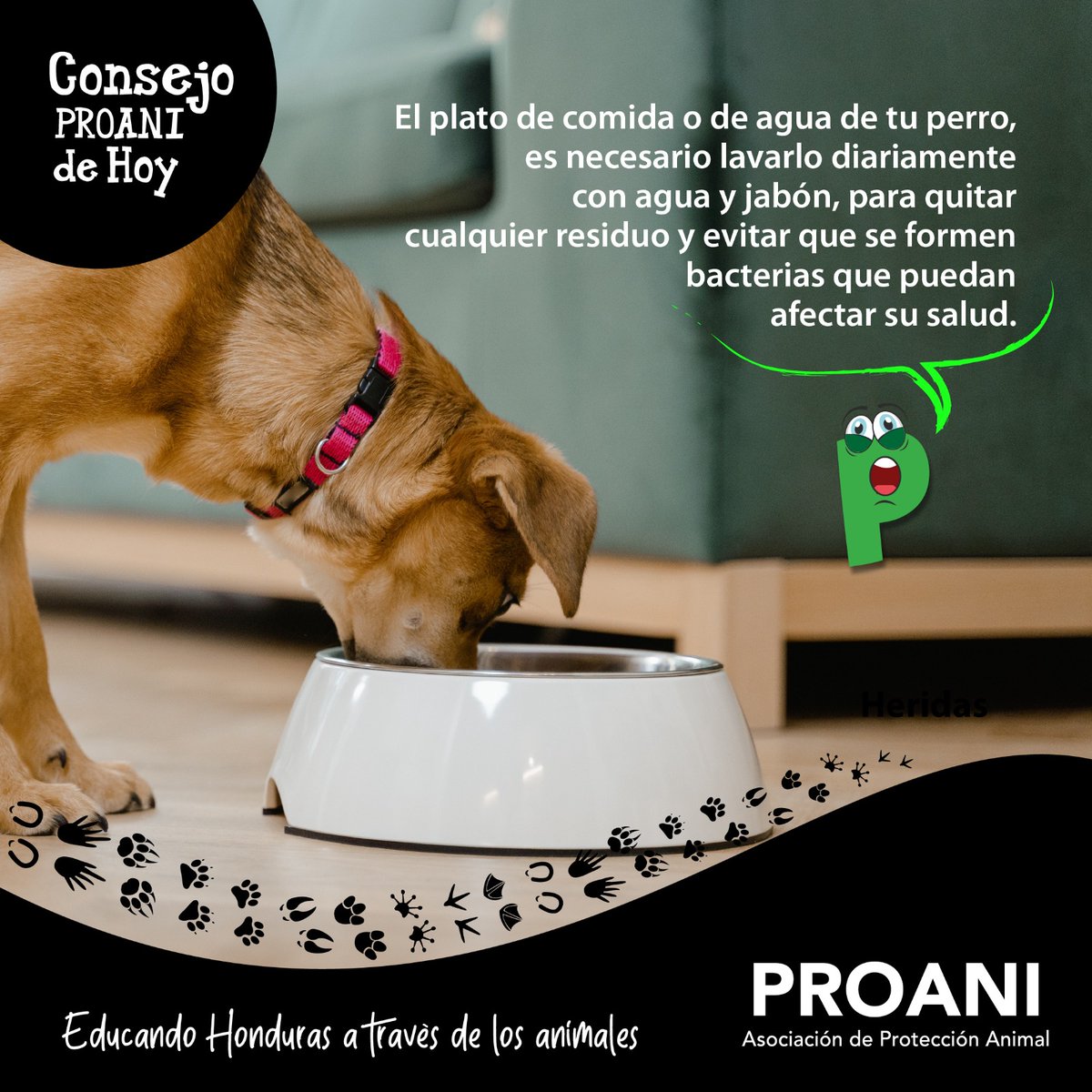 ProaniHonduras's tweet photo. https://t.co/6bXe8EWe2b