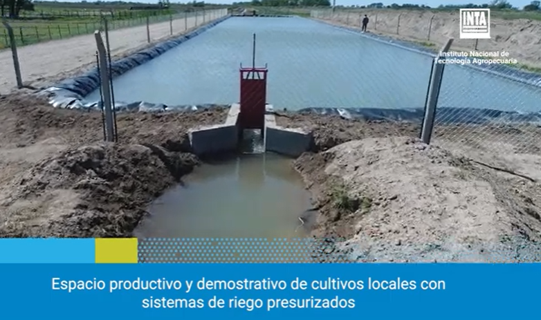 INTACIPAF's tweet photo. #SemanaDelAgua #AgriculturaFamiliar #CIPAF 💧
💦 Acceso al Agua para riego
Bajo escenarios de escasez hídrica es necesario cubrir los requerimientos hídricos de los cultivos. Los reservorios de agua excavados para riego son una herramienta tecnológica para la gestión del recurso https://t.co/TbnInjfJ21